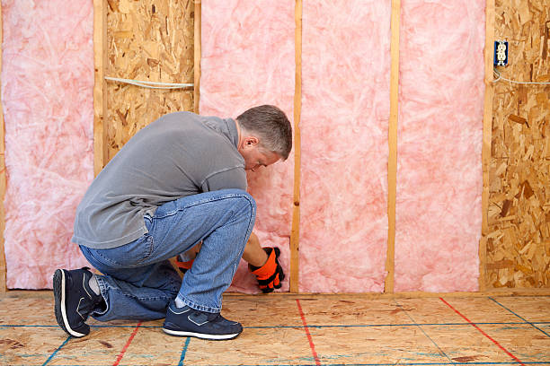 Best Insulation Installation Services in Etowah, TN